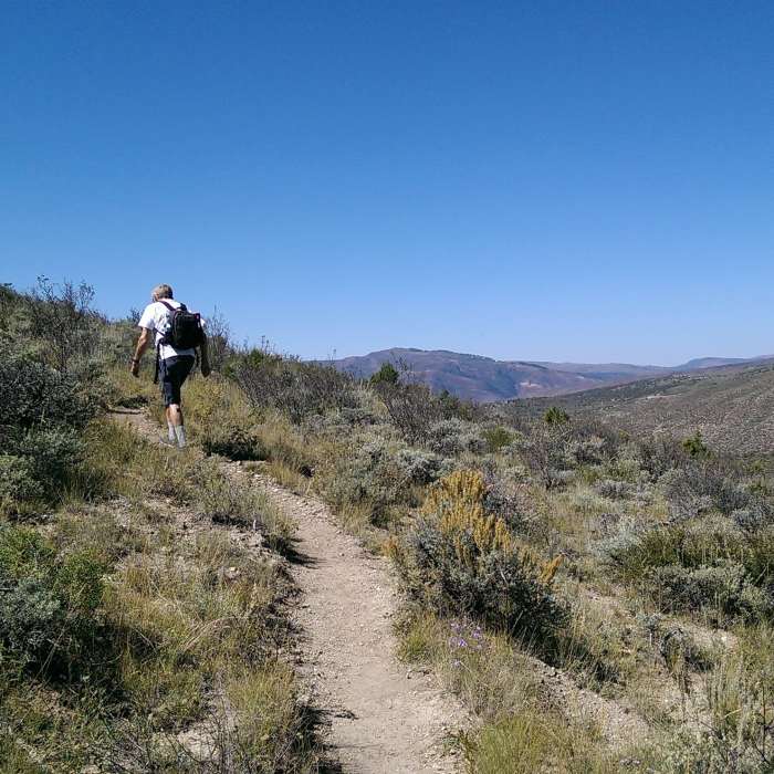 Near Knob Hill Trail