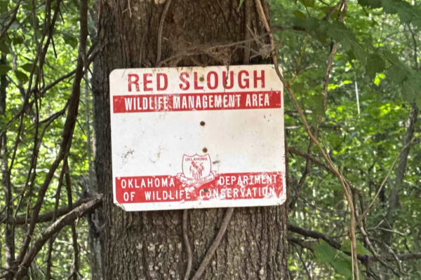 Red Slough