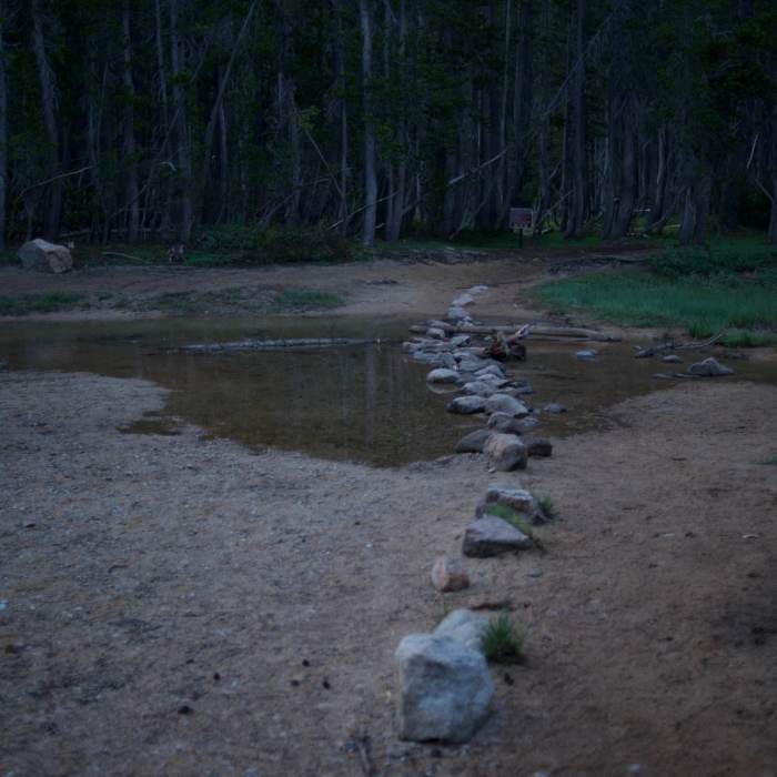 Near Tenaya Lake Trail
