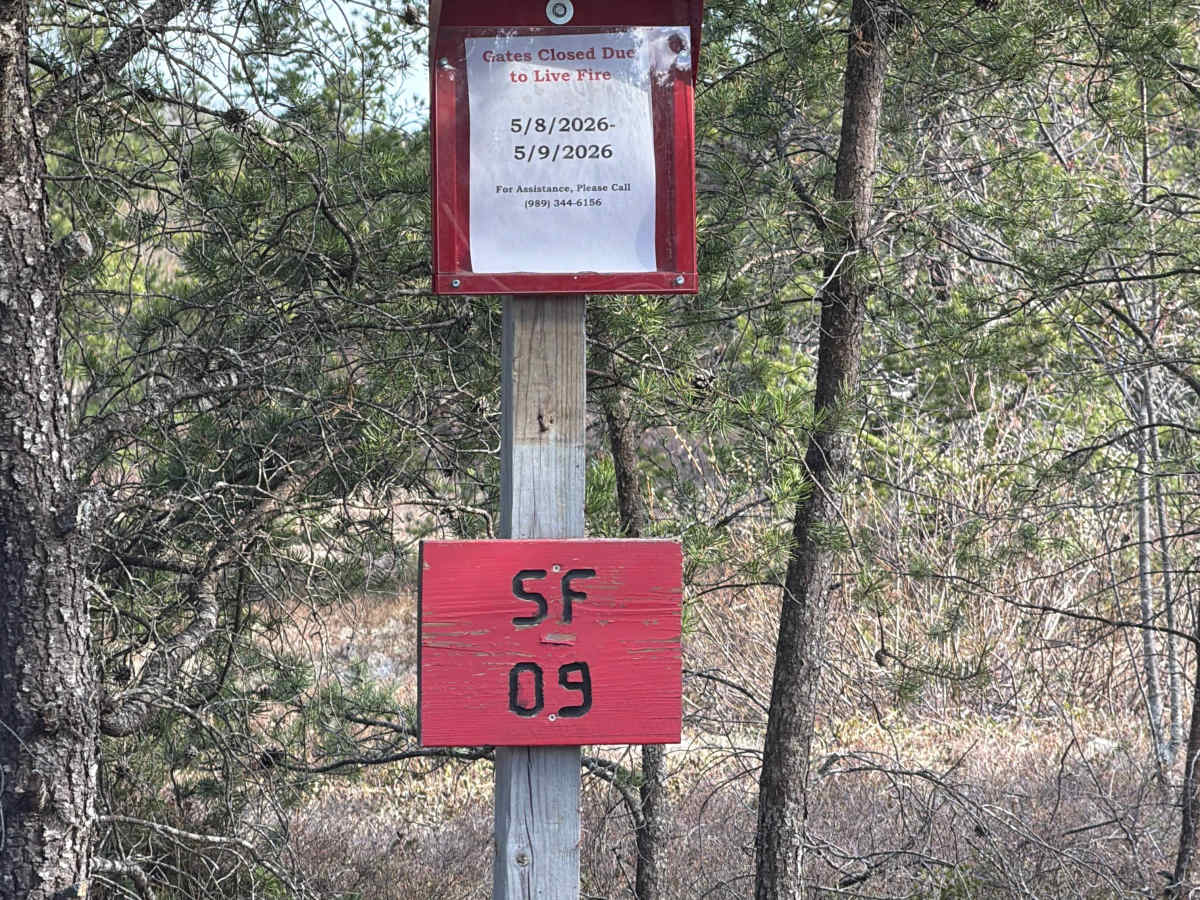 SF 09 trail photo