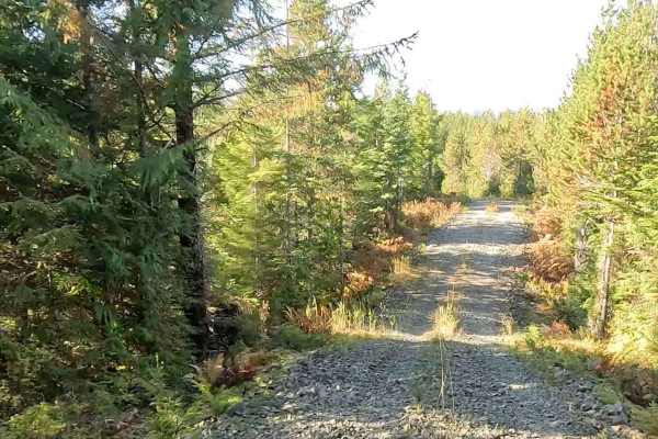 Thorne River North Flats Road - FS 3015050