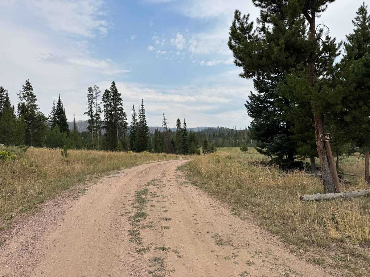 Morgan Creek Road - FS 442 trail photo