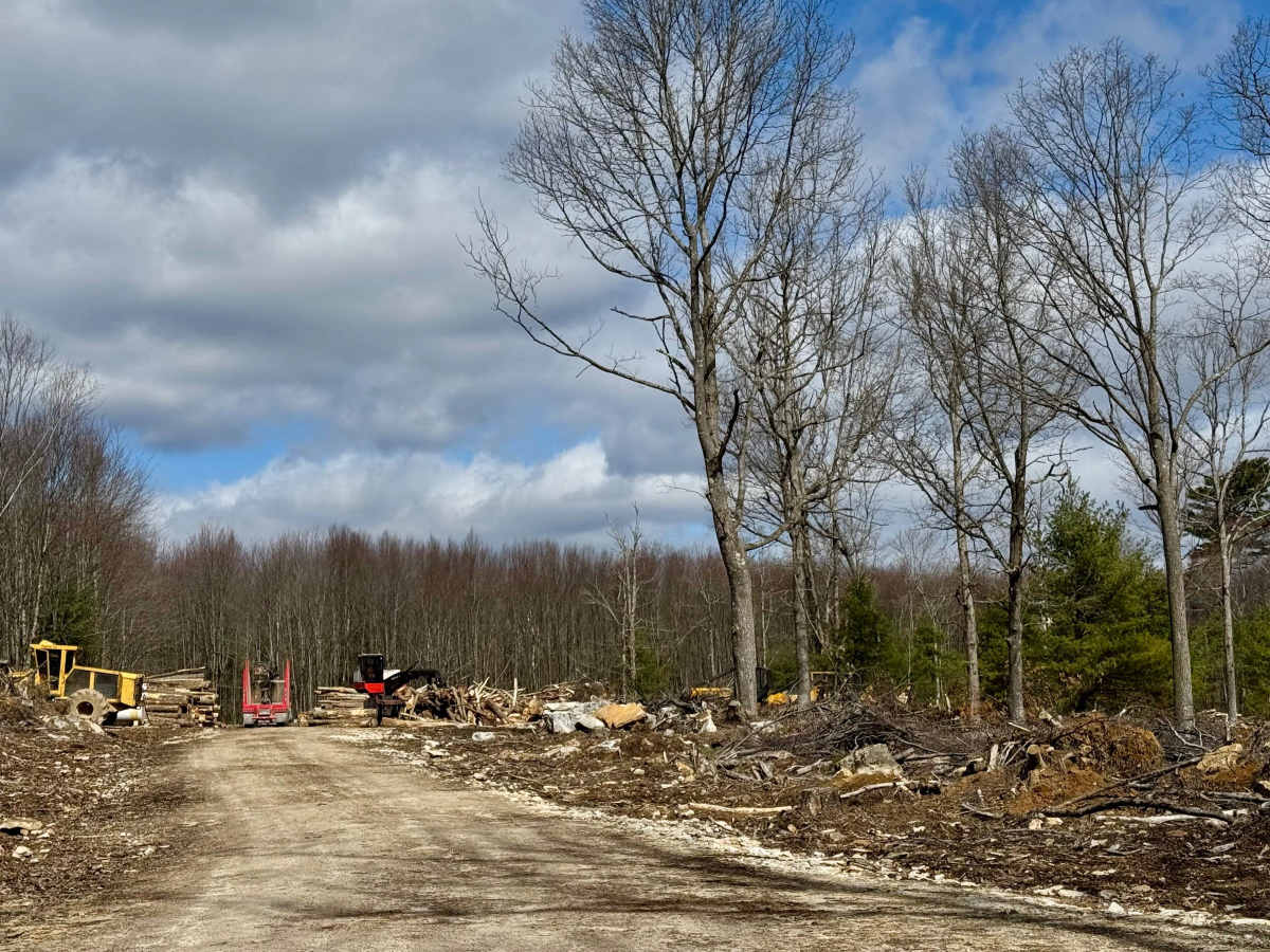 Jerry Ridge Road photo 6
