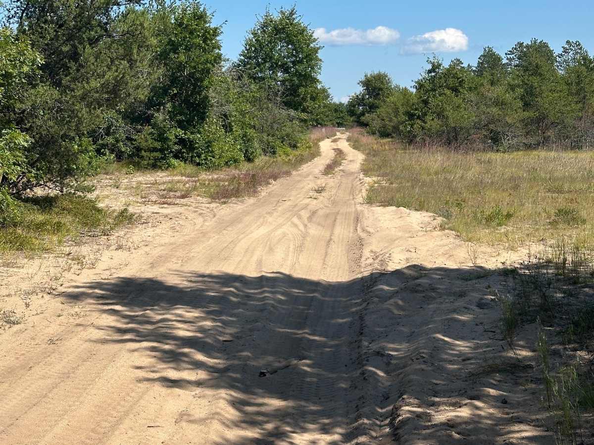 Bear Loop trail photo