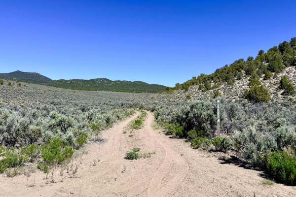 South Brock Canyon - FS 43513