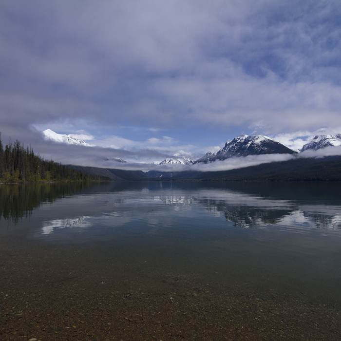Near Lake McDonald Trail