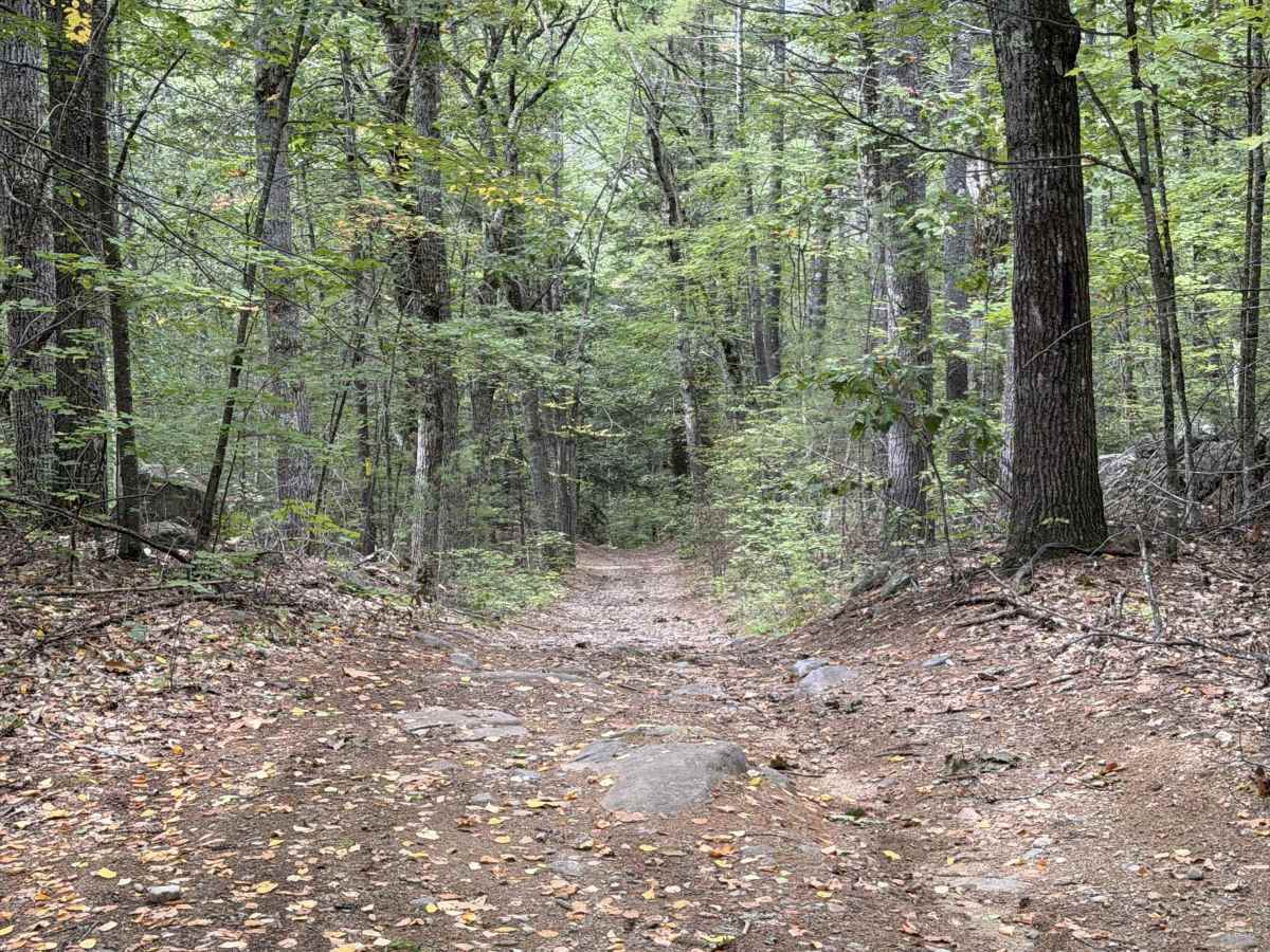 Homestead Road - West photo 6
