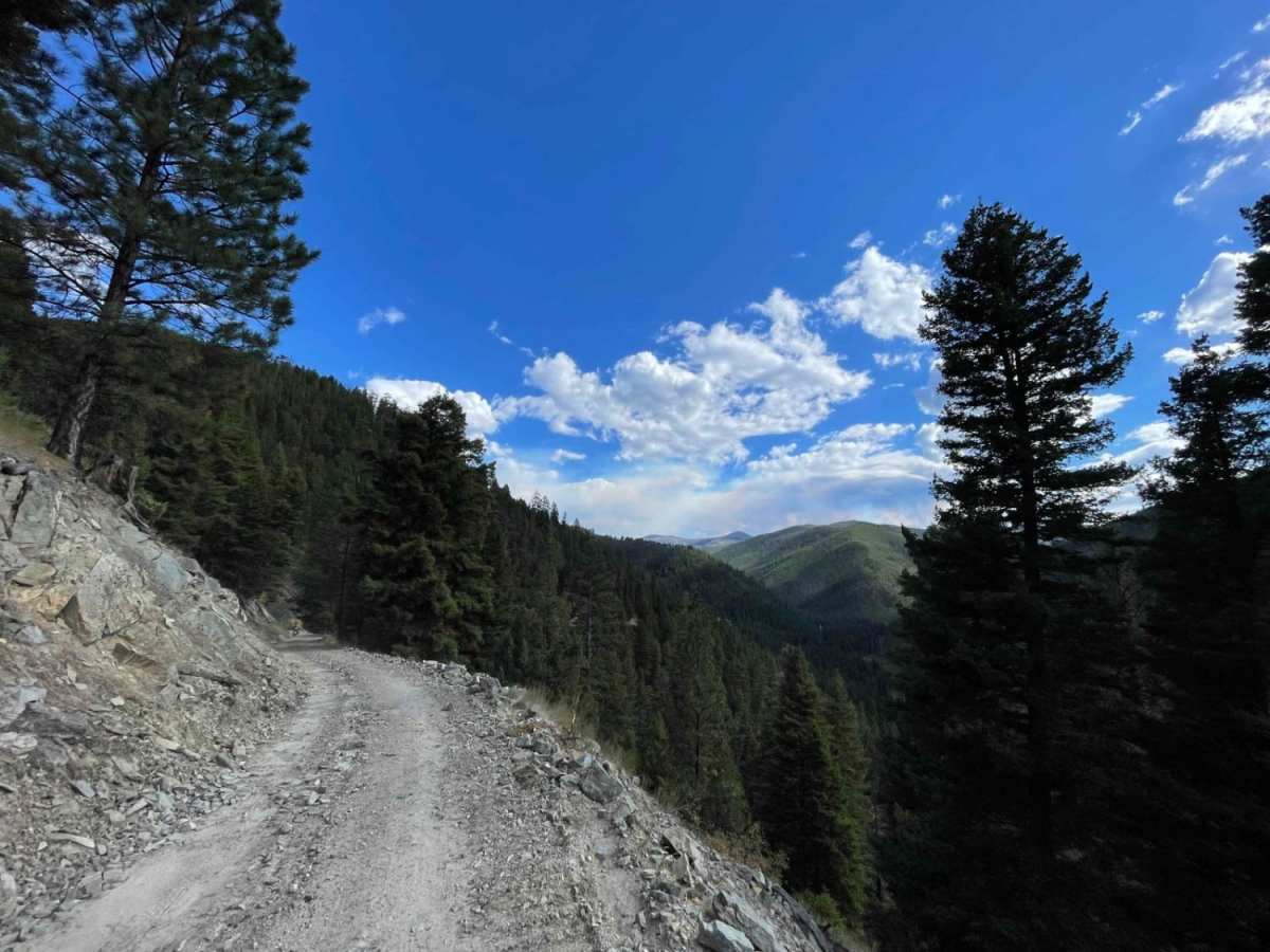 Weasel Creek photo 3