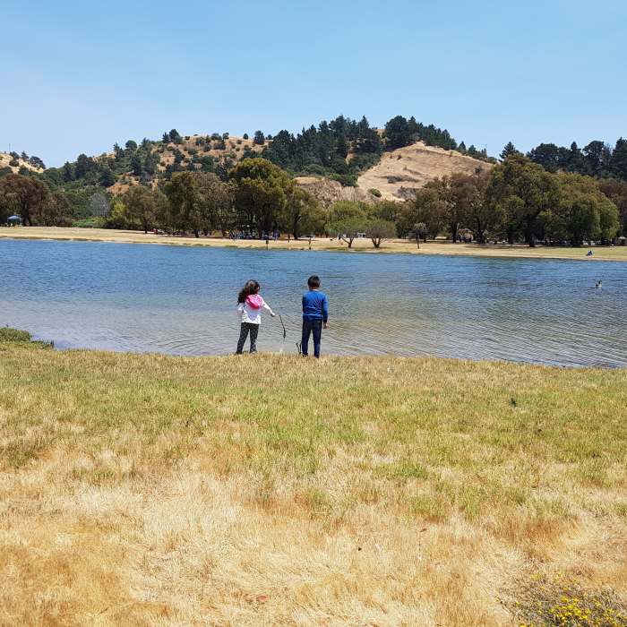 Near Miller/Knox Regional Shoreline Kid Friendly Loop
