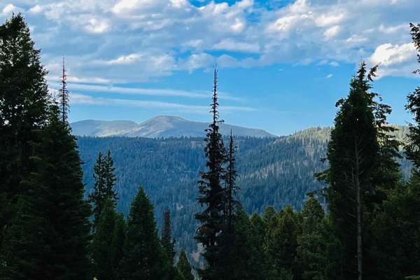 McCart Tower to Swift Creek the Cutover