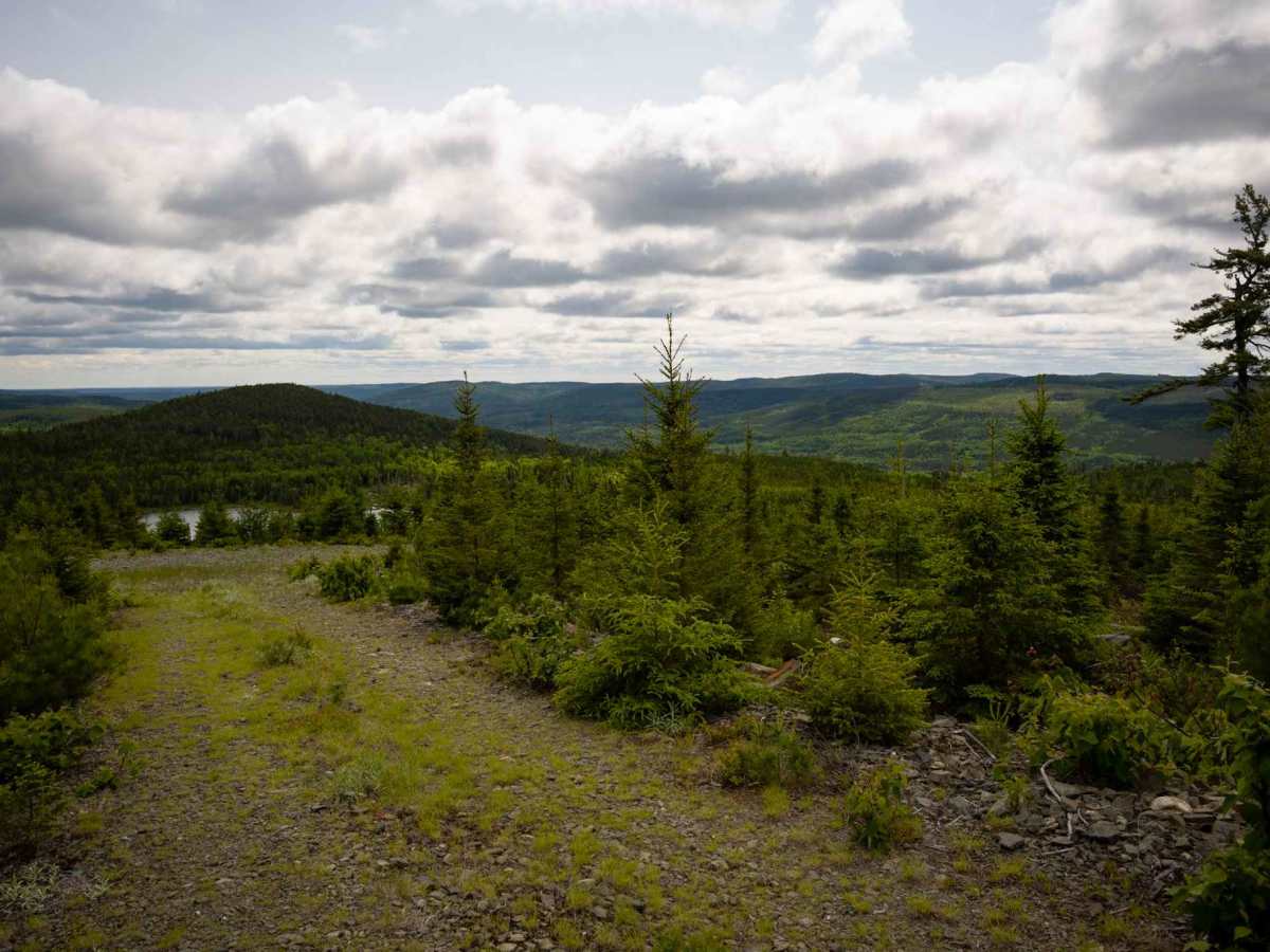 Fogans Lake Overlook Trail photo 4