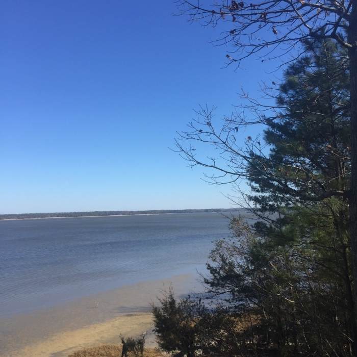 Near Mattaponi Trail