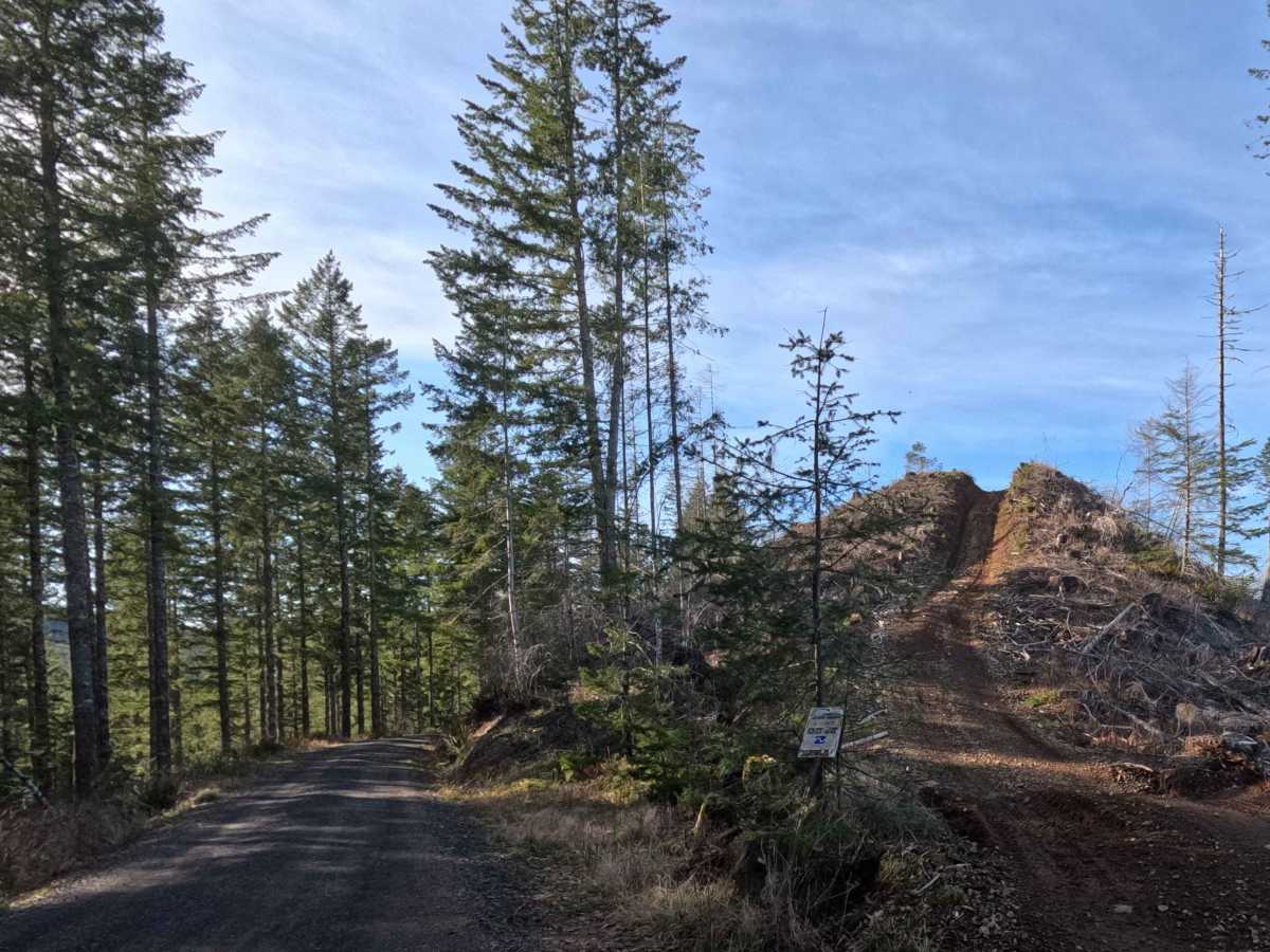 Archer  Road trail photo