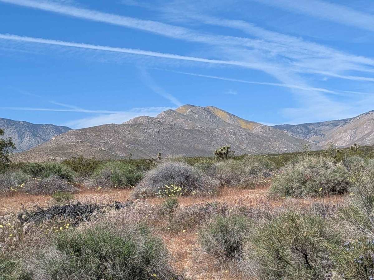 BLM LA2 Sage Canyon South photo 6