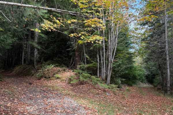 Powerline Connector Trail