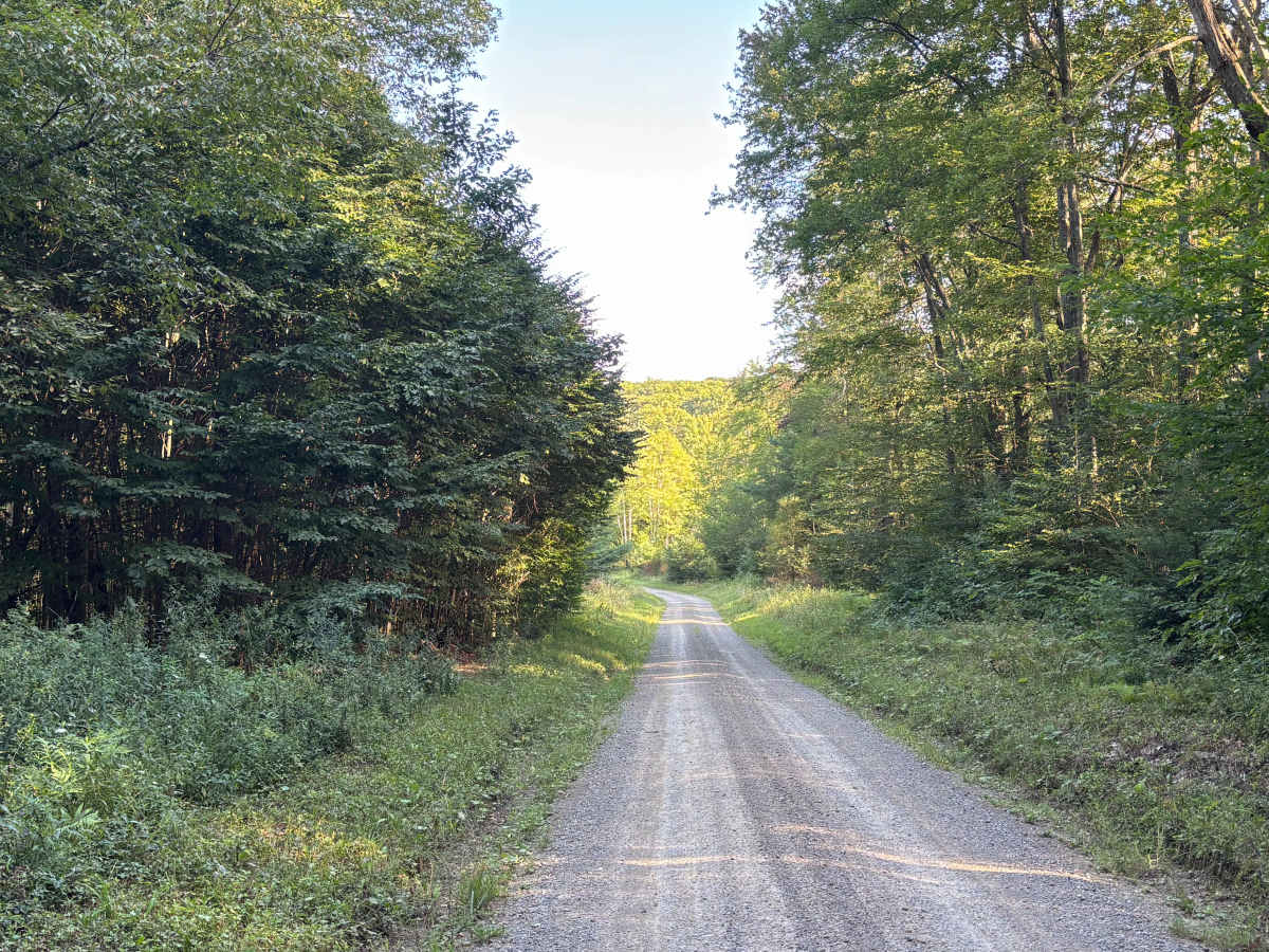 Merril Road photo 3