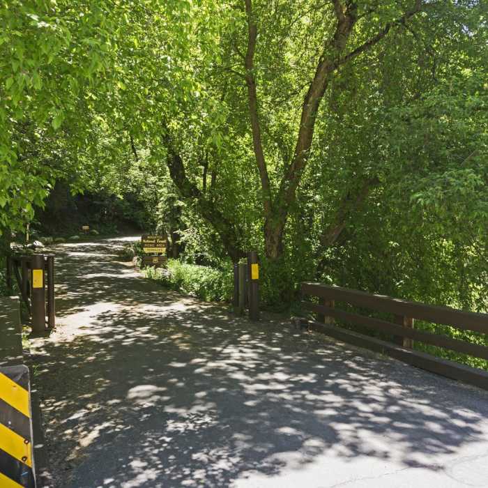 Near Bowman Fork Trail