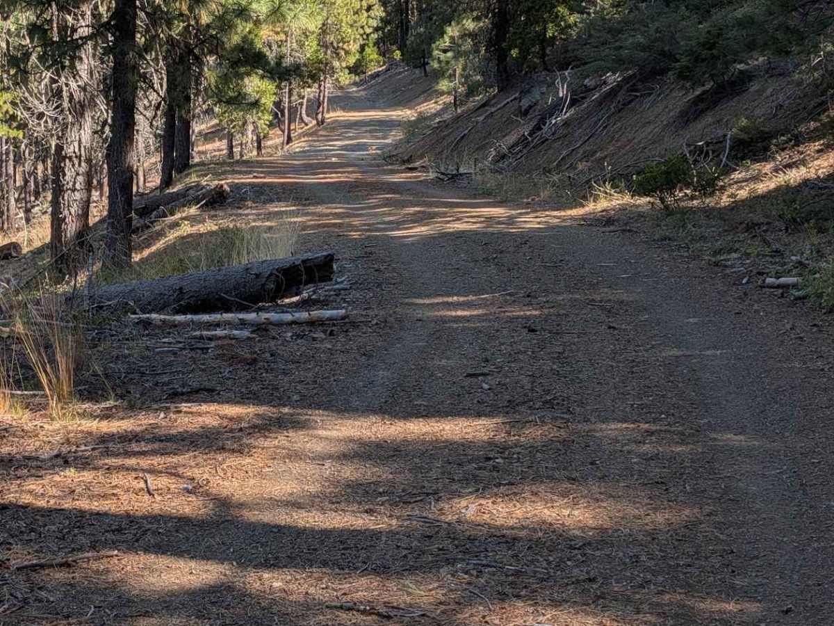 Dubit Kelly Road - FS 29N55  photo 6
