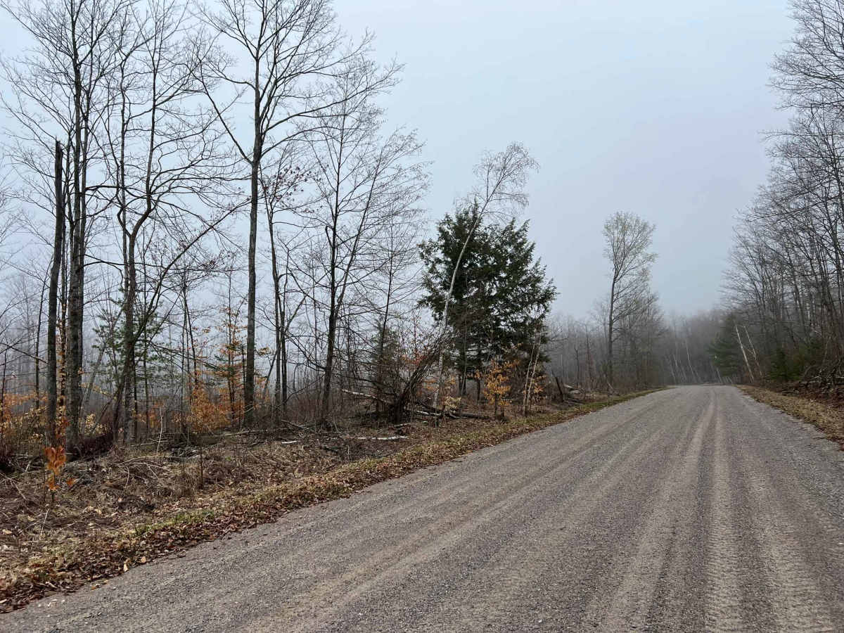 Sunrise Lake Road - FS 2319 photo 2