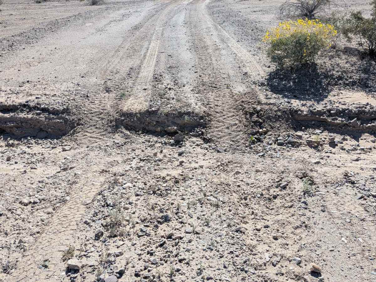 BLM 539 NW trail photo