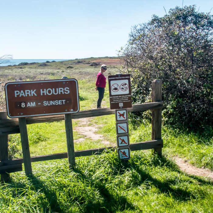 Near Atkinson Bluff Trail