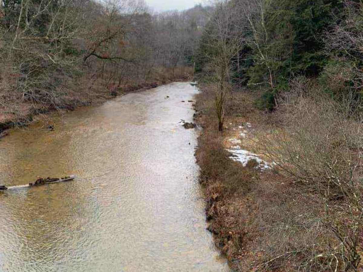 Piney Rail Trail photo 5