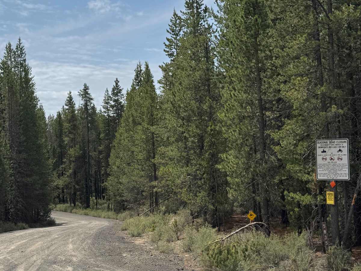 FS 5835 trail photo