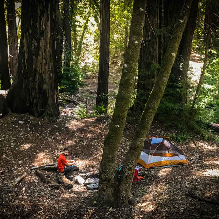 Near Vicente Flat Trail