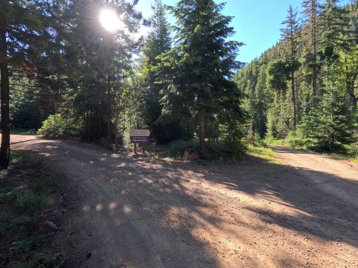Stafford Creek Road - FS 9703 photo 6