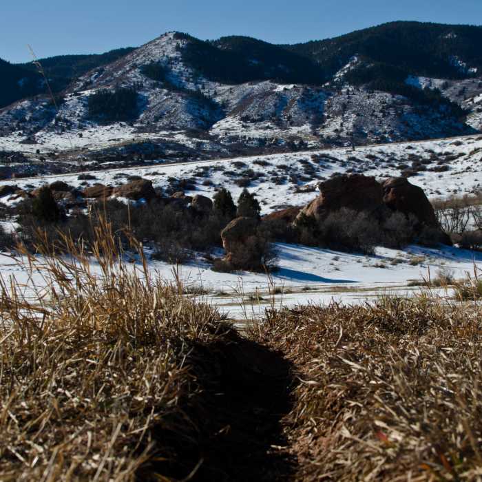 Road to nowhere on the Coyote Song Trail. Near Coyote Song Trail