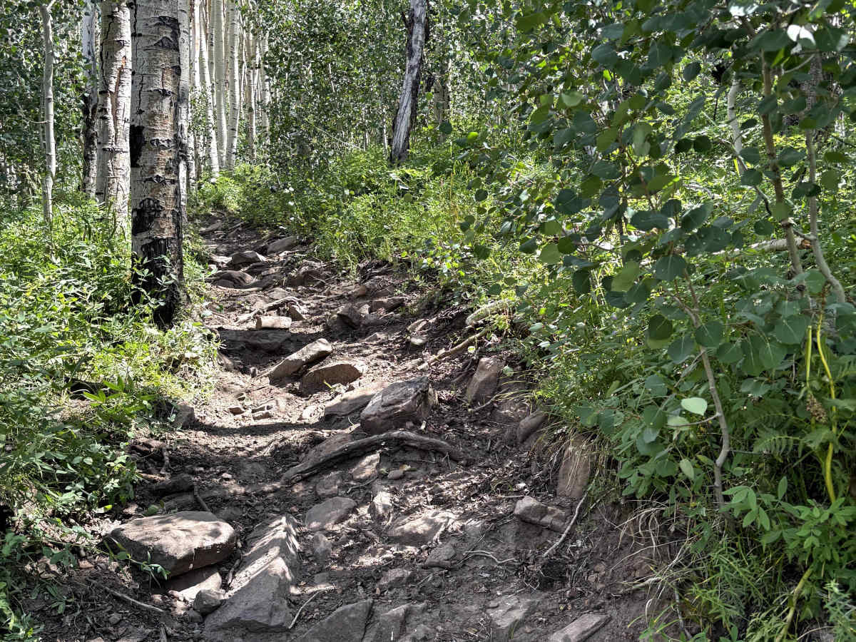 Red Canyon Trail photo 6