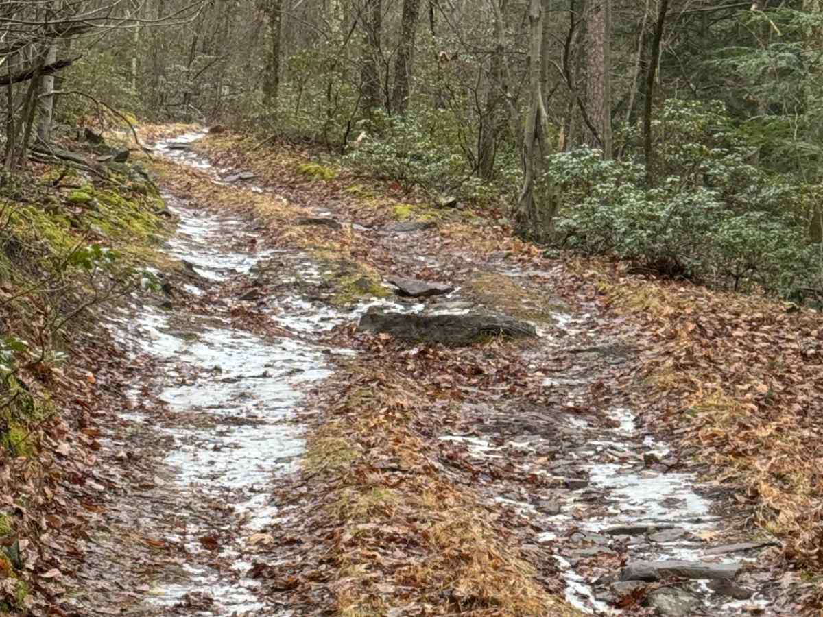 Jack's Mountain Fire Trail photo 6