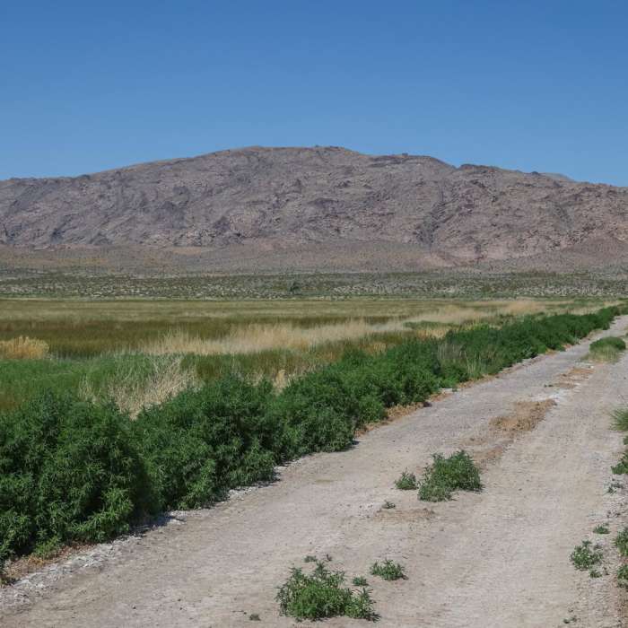 Near Dove Dike Trail Near Dove Dike Trail