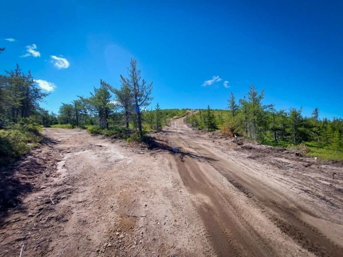 Big Bald Mountain photo 6