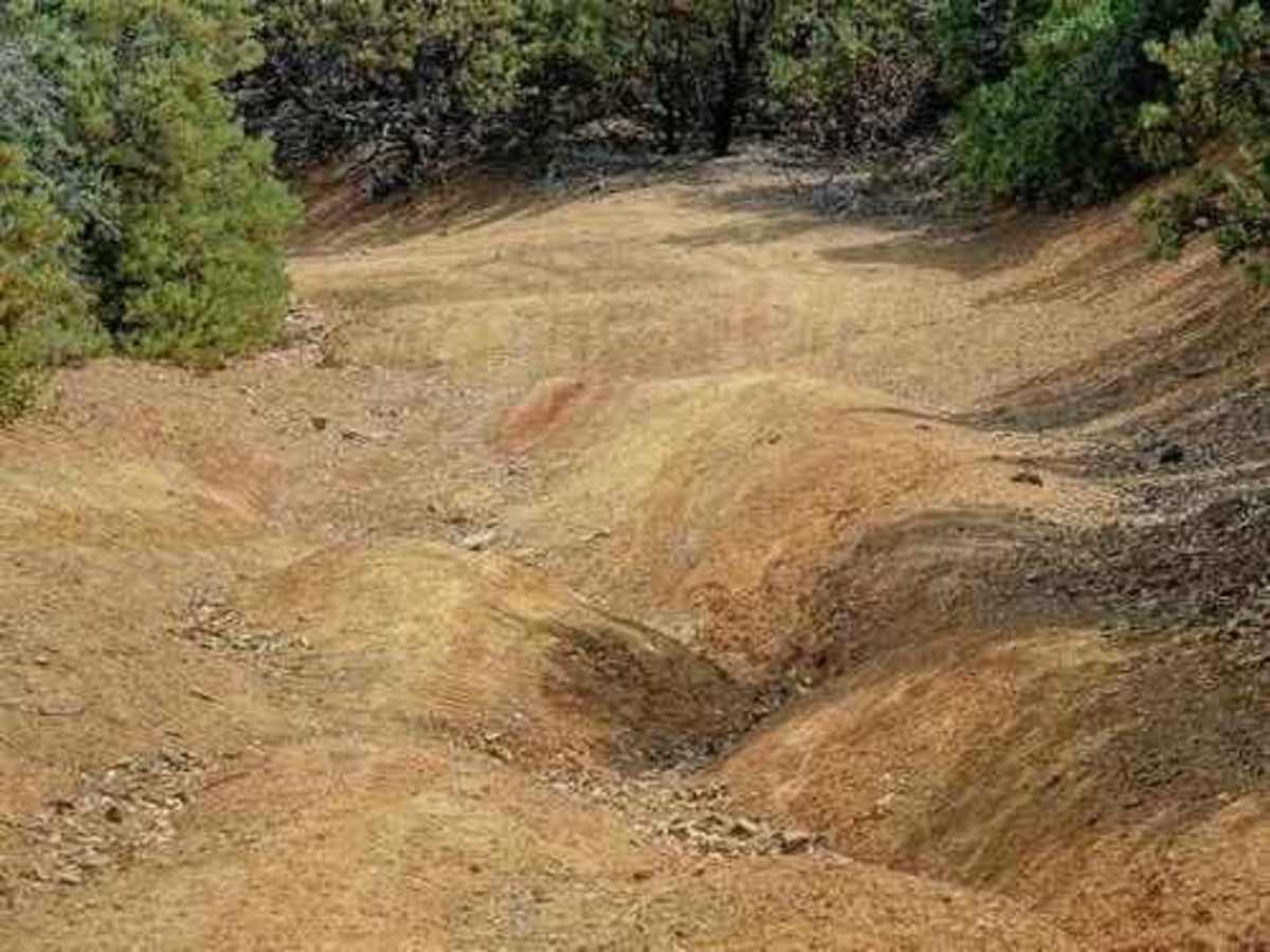 Mount Ord photo 4