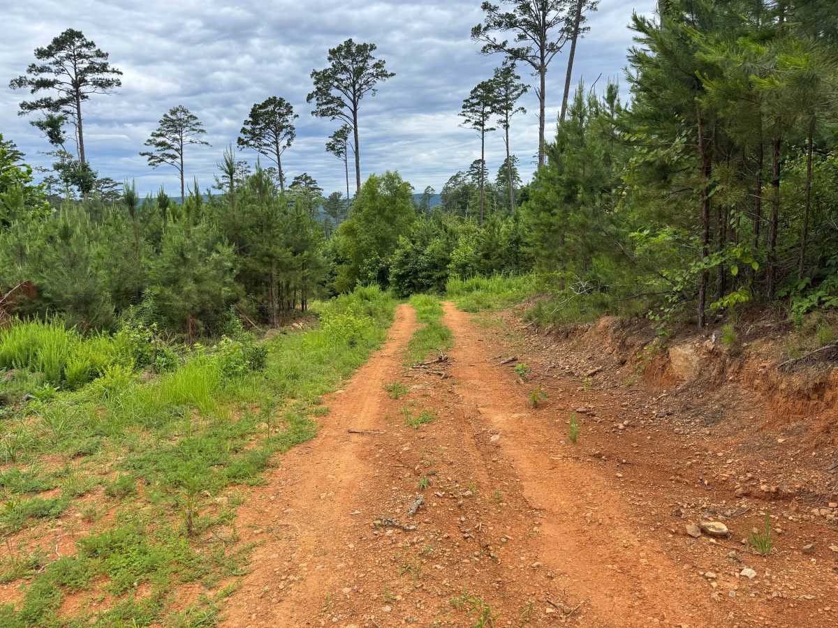 FS 94674A trail photo