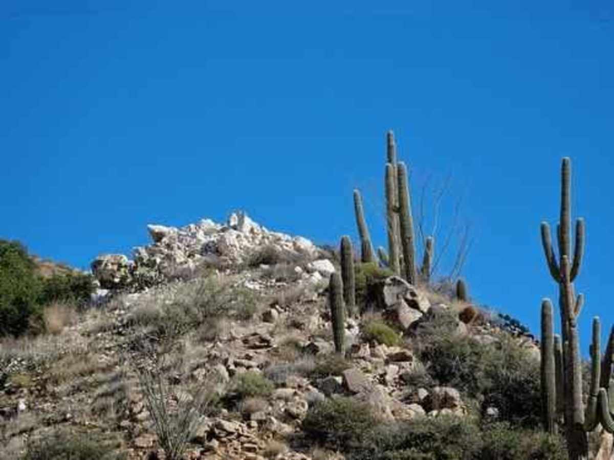 Quartz Ridge photo 4