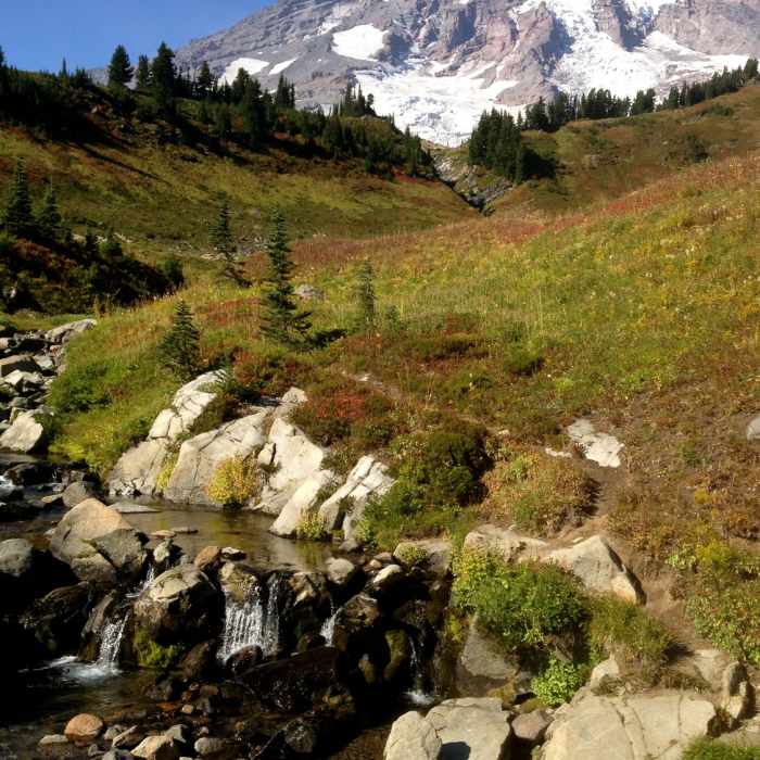 Near Golden Gate Trail