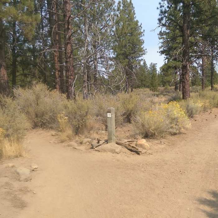 Near Shevlin Loop Trail