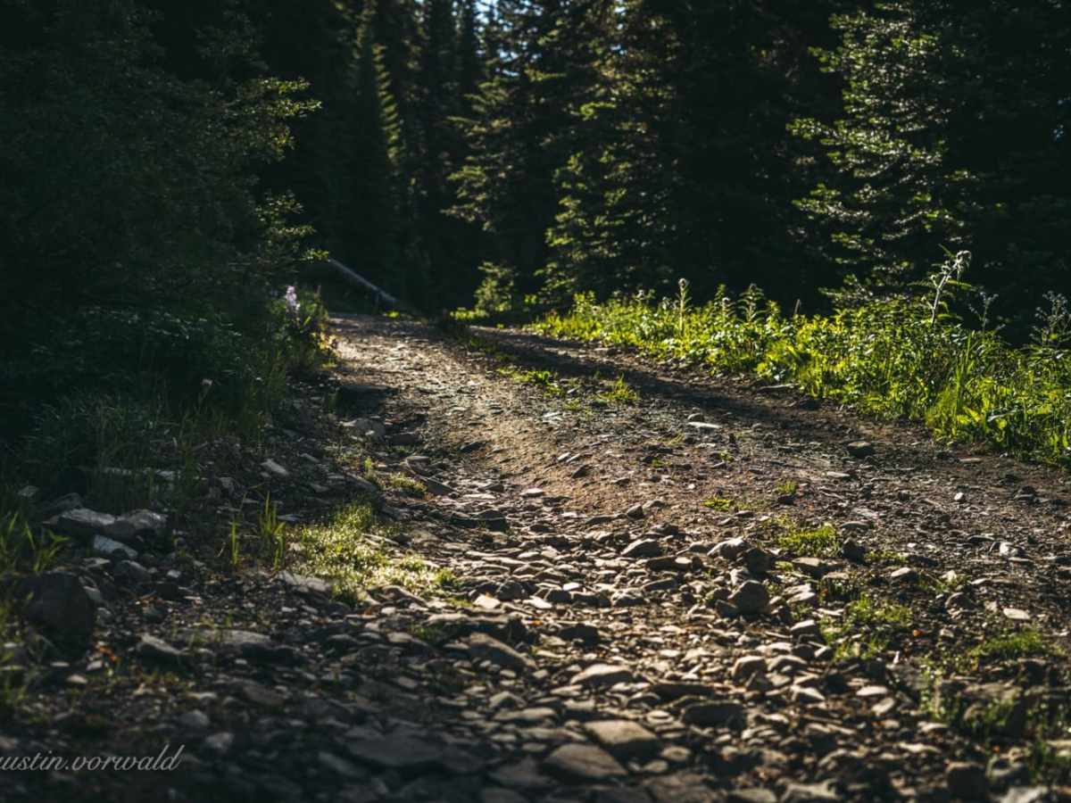 Hart's Pass Road 54007 trail photo