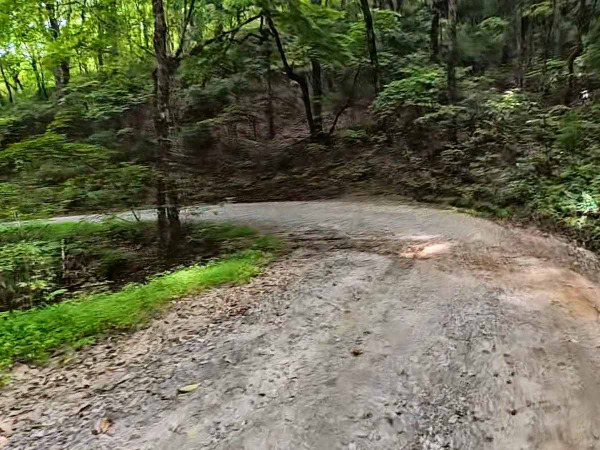 Dockey Lake Recreation Area Trail photo 3
