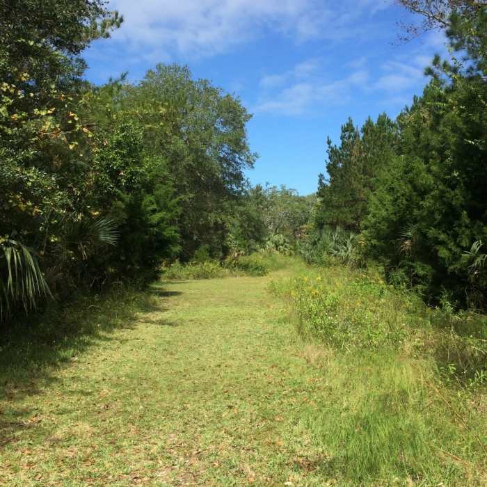 Coming back around to the beginning of the trail. Near Reddie Point Preserve Route