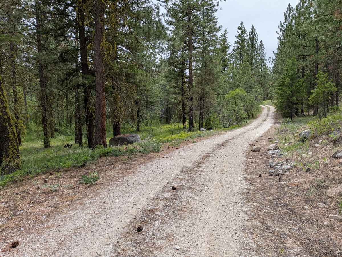 FS 4100-030 trail photo