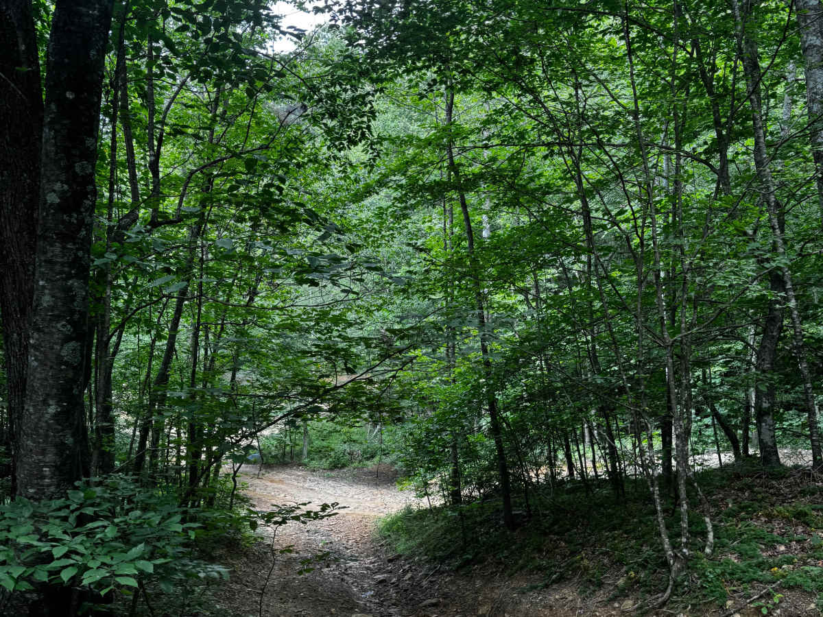 Trail 8B photo 4