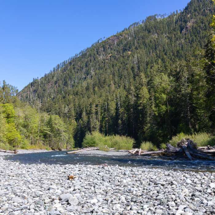Near Four Streams Trail Near Four Streams Trail