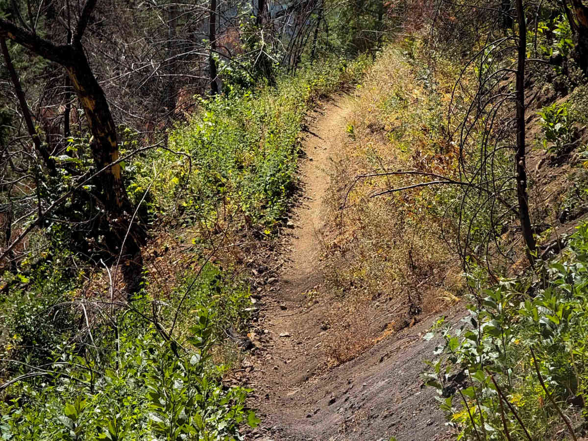 Red Hill Spur 1223.1 photo 3