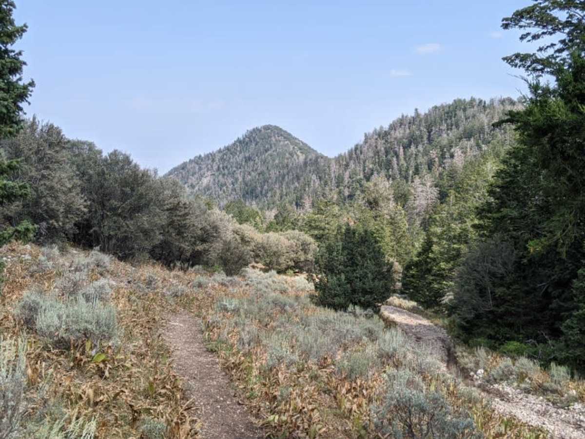 Mining Fork 4x4 trail photo