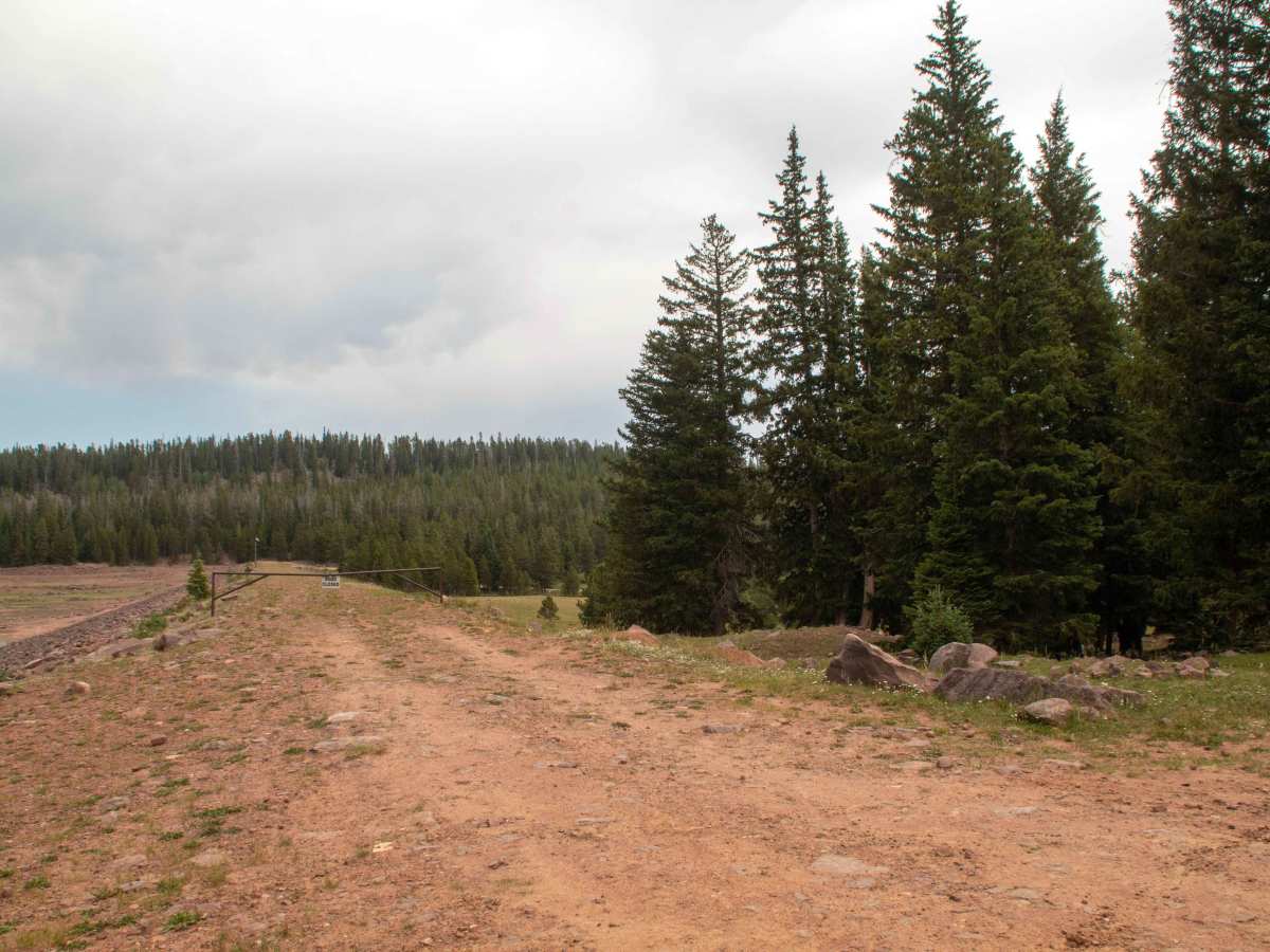 Paradise Park Reservoir Access - FS 10752 trail photo