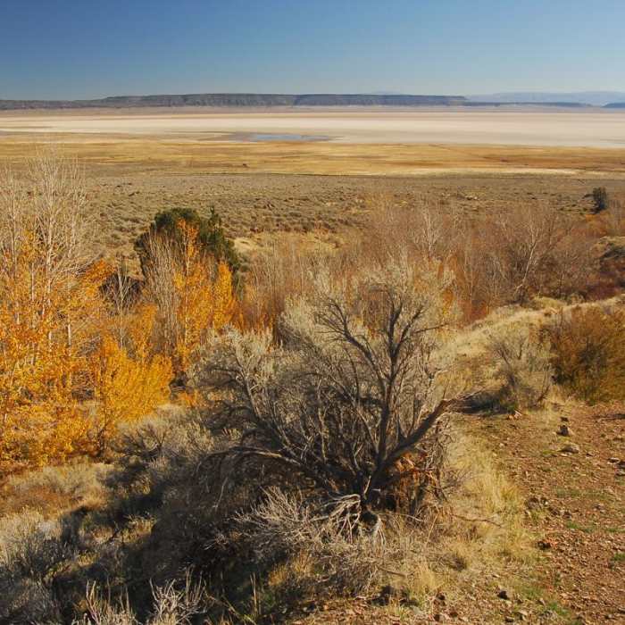 Near Pike Creek Mine Hike Near Pike Creek Mine Hike