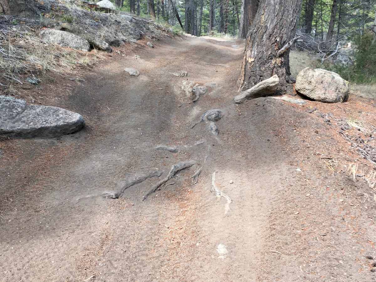 North Fork Trail photo 4